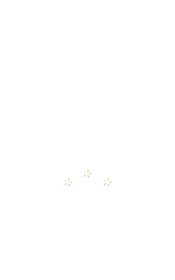 MANY YEARS OF PRACTICE ON THE WOODWORKING MARKET